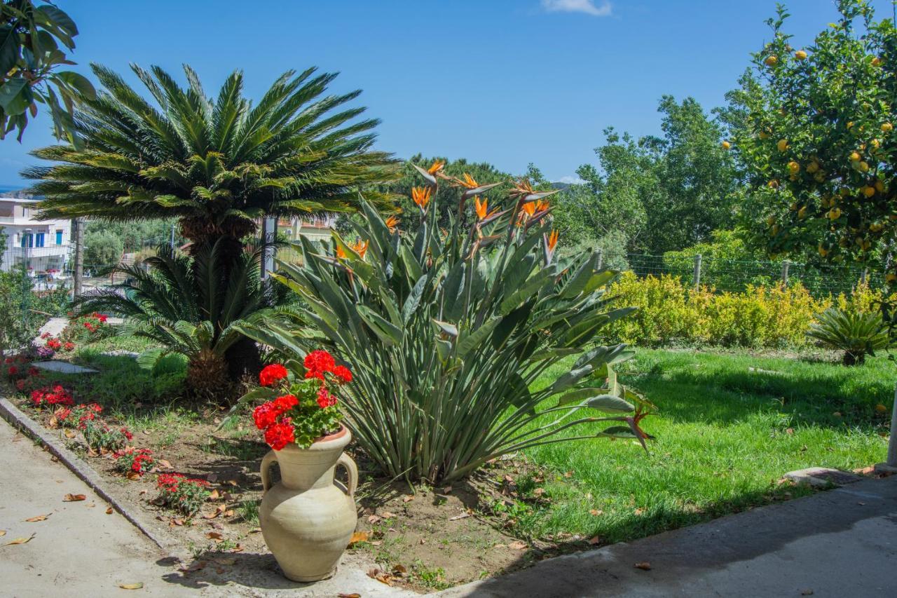 Вілла Casa Yucca Forio  Екстер'єр фото